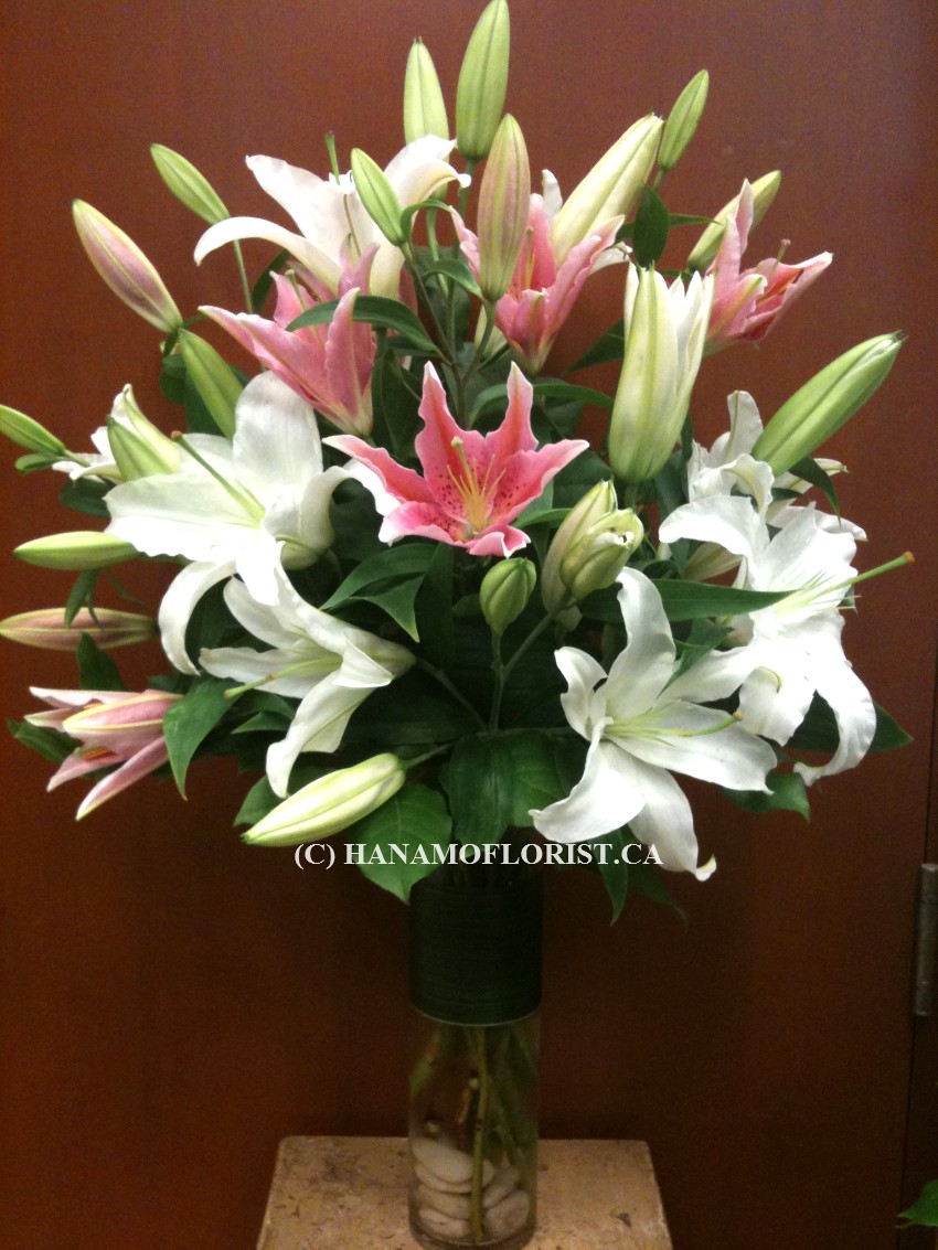 VASE606 Elegant Simple Lily Vase